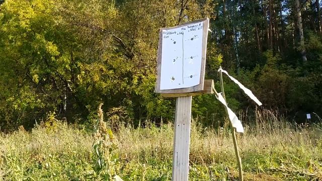 FX Wildcat первый отстрел на 50м