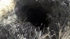 Скифские курганы и их ограбление !