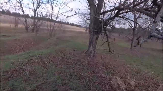 очень советуем!!! в ютуб !МАЙК!! смотреть онлайн