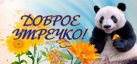 Доброе утречко! Хорошего дня и отличного настроения! смотреть онлайн