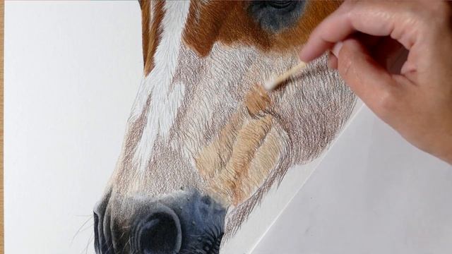 Drawing a Horse in Colored Pencil | Realistic Horse Drawing | Realistic Watercolor Pencil Drawing смотреть онлайн