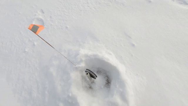 РЫБАЛКА В ГОРОДЕ, В ГЛУХОЗИМЬЕ смотреть онлайн