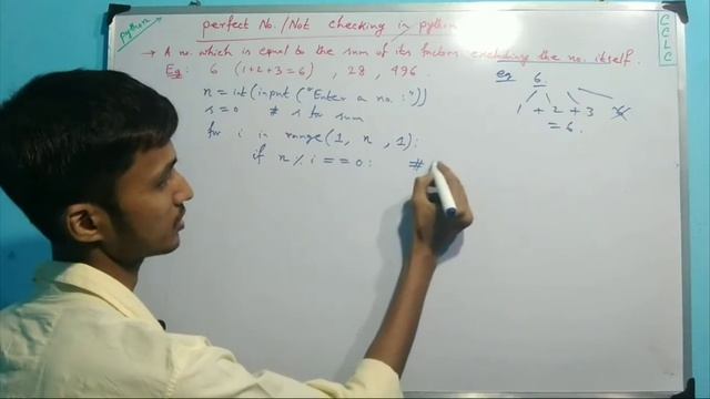 #Perfect Number or Not Check in Python #11 смотреть онлайн