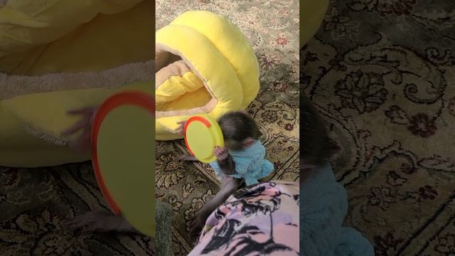 обычное время прохождение с Ники, смотреть онлайн