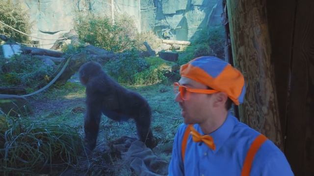 Blippi Visits The Zoo - Learning Animals For Kids | Educational Videos For Children смотреть онлайн