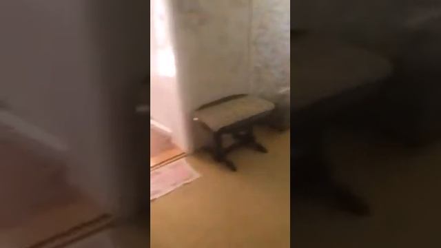 Аренда дома с красивым участком смотреть онлайн