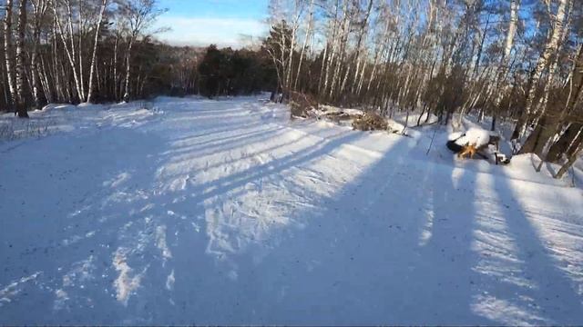 Лесная Республика Новокузнецк 28.12.22 смотреть онлайн