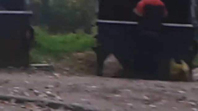 Бомжи смотреть онлайн