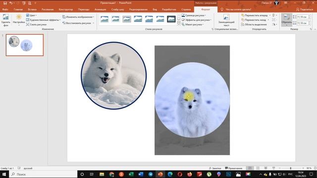 Powerpoint: как обрезать картинку по кругу смотреть онлайн