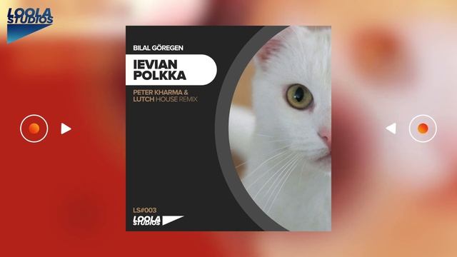 Cat Vibing To Ievan Polkka (Peter Kharma & LUTCH house remix) Cat Vibing To Music | Cat Vibing Meme смотреть онлайн