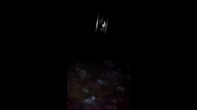 Странное существо в лесу или рейк смотреть онлайн