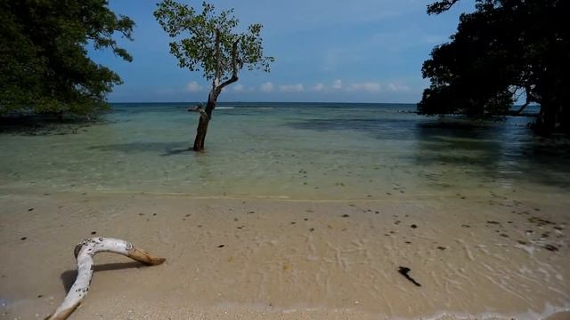 Beautiful beach - Relaxing Sea - Ocean Waves Sounds & Nature Videos - Meditation / Yoga/deep sleep смотреть онлайн