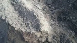 ч.1 Учимся сажать картошку под трёхрядный окучник