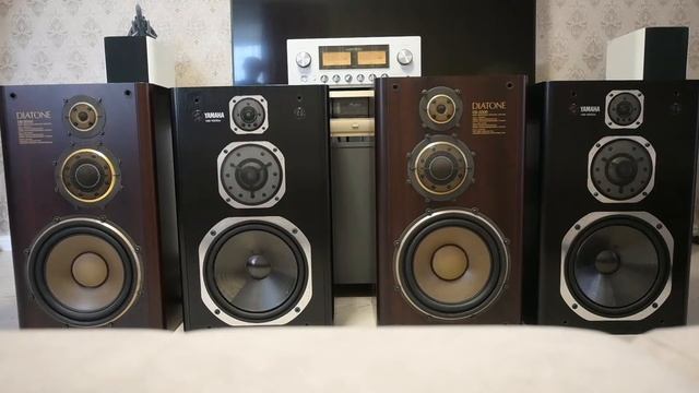 Что выбрать? Yamaha NS-1000x против Diatone ds-2000 смотреть онлайн