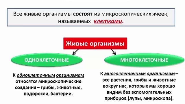Y2mate.mx-Наука о живой природе _ Биология 5 класс #1 _ Инфоурок смотреть онлайн