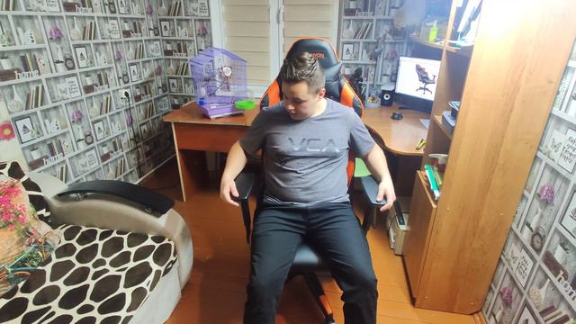 Распаковка — Кресло геймерское Canyon Deimos CND-SGCH4