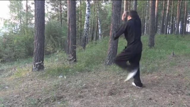 УШУ.Сяо хун цюань/Xiao Hong Quan (1)