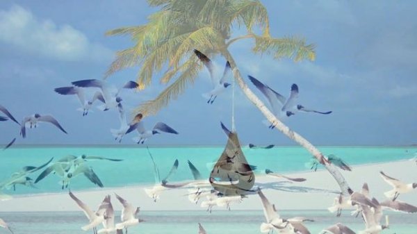 Tropical Paradise Beach Ambience Music, Tropical Beach Ambience