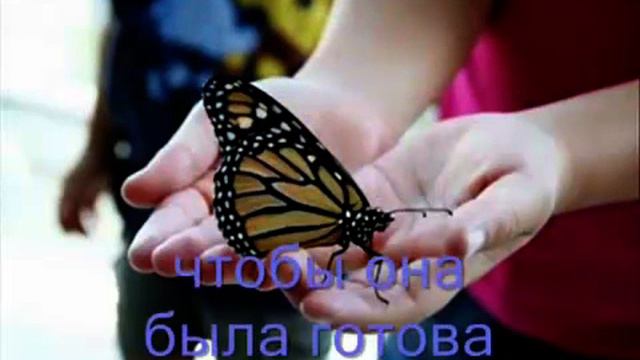 Урок бабочки смотреть онлайн