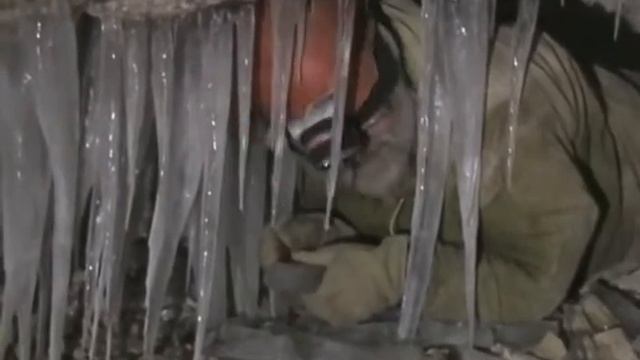 Винни Пух идёт в пещеру смотреть онлайн