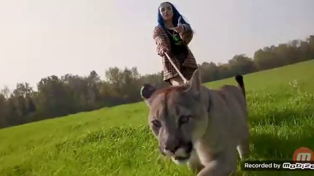 Миа бойко фенди смотреть онлайн