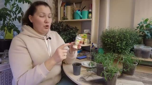 Выращиваем алиссум принцесс сноу смотреть онлайн