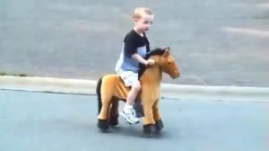 Детские механические лошадки PONYCYCLE поницикл