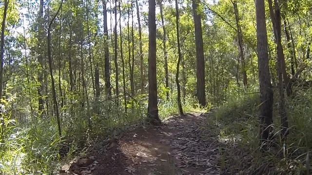 16" Merida 0.Nine Pro 1000 for sale Mountain biking Dingo Gap Creek chronicles смотреть онлайн