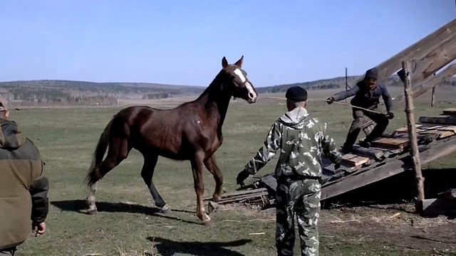 Господин Гронский- Чуть дома не остался). смотреть онлайн