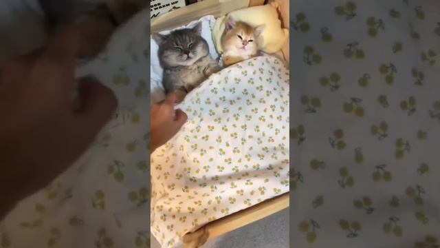 Тихий час смотреть онлайн