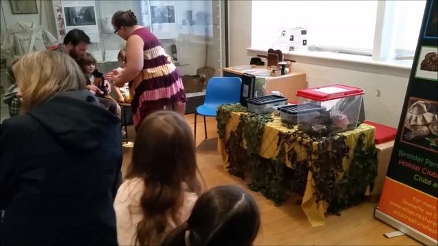 Держим тарантулу, палочника, таракана и делаем поделки к Хеллоуину смотреть онлайн