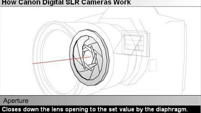 How Canon Digital SLR Cameras Work - Microglobe.co.uk смотреть онлайн