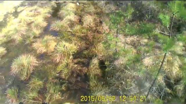 Покатушки в Козлово смотреть онлайн