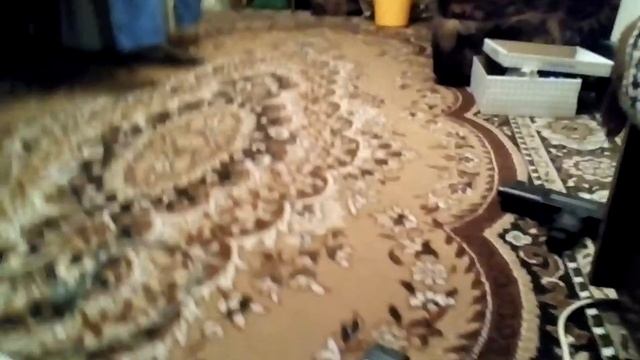 Камера sony handycam video 8 смотреть онлайн