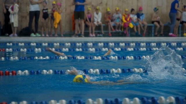 Соревнования по плаванию СК Луч смотреть онлайн