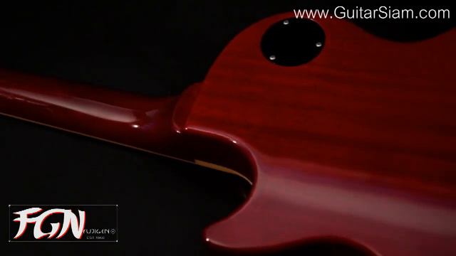 FGN NeoClassic LesPaul Vs Strat @ GuitarSiam.com