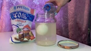 Опыт. Условия плавания тел. 7 класс