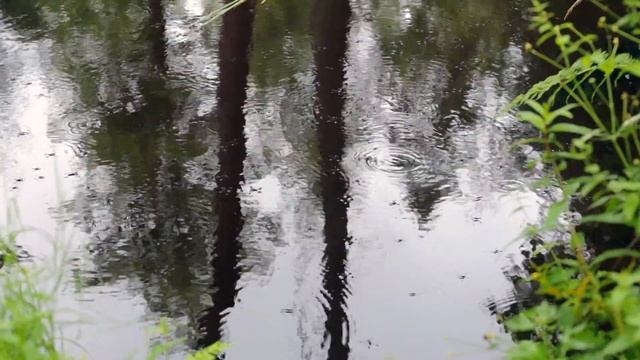 Озеро Красавица смотреть онлайн