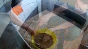 рыбная мука своими руками