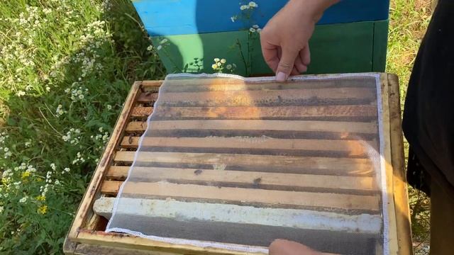 Сетка для сбора прополиса. Тестирую новую сетку. смотреть онлайн