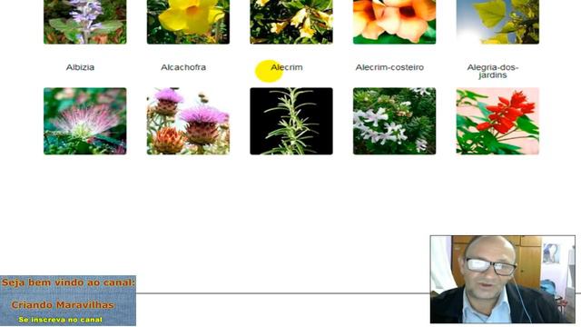 Plantas de A a Z Seus Nomes - Parte 1 | Criando Maravilhas смотреть онлайн