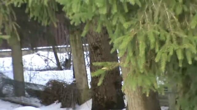 Обзор электровелосипеда,сделанного своими руками. смотреть онлайн