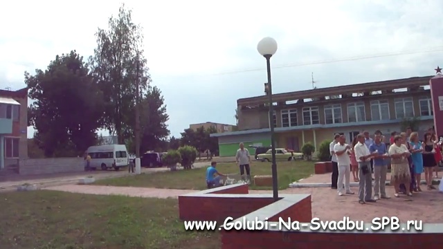 Www.Golubi-Na-Svadbu.SPB.ru - голуби на свадьбу.