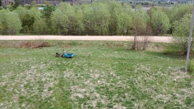 Мотоблок и картофелесажалка целина в работе, распашка и посадка фиолетового картофеля