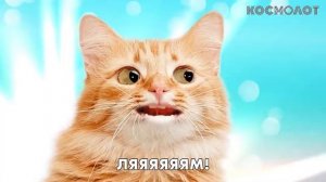 ВЕСЕЛАЯ ПЕСНЯ ИЗ ПРИКОЛЬНОЙ РЕКЛАМЫ КОСМОЛОТ - СПЕКОТНИЙ ЛЯМ