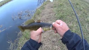 Осенняя рыбалка Ротан на поплавок