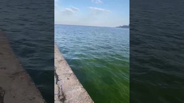 [ Альбом ]
Море в Одессе после разрушения Каховской ГЭС стало зелёным, сообщают очевидцы Прямой эфи смотреть онлайн