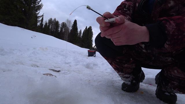 Зимняя рыбалка в тайге. Старая изба приютила. Жерлицы на щуку! смотреть онлайн