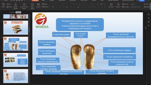 Обзор продукции ассоциации WHIEDA Часть 1