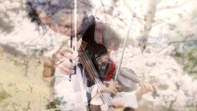 KenLee vKinG Samurai - Sakura no mori 樱之森 смотреть онлайн